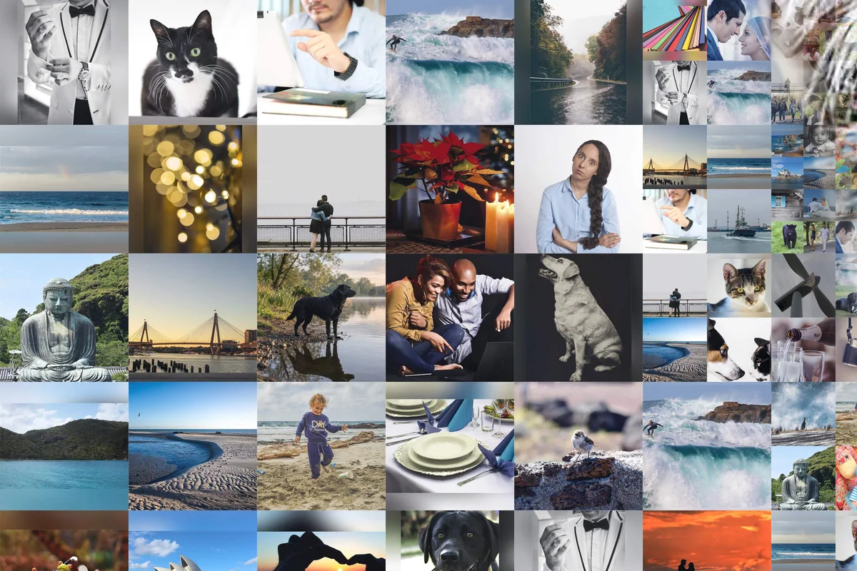 Cat photo mosaic from 100 photos: the same photos come back many times across the fur