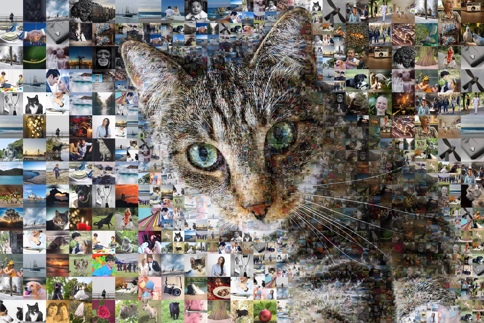 Magnifier over a picture made of pictures: a cat portrait built from hundreds of small photos, one of them under the lens